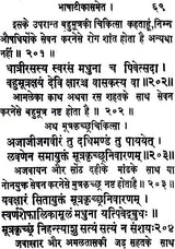 Gauri Kanchalika Tantra - Retail Maharaj