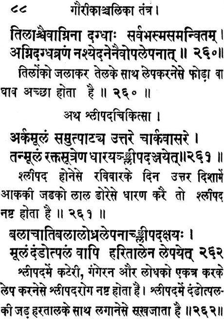 Gauri Kanchalika Tantra - Retail Maharaj