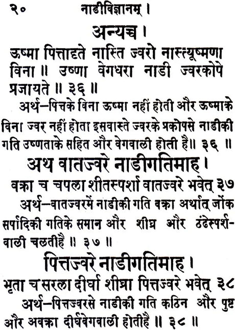 Nadi Vijnana - Retail Maharaj