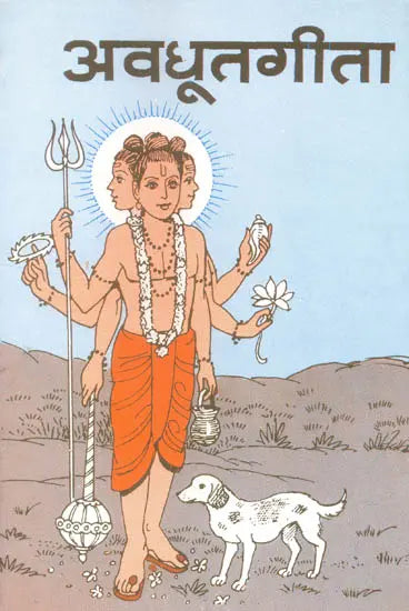Avadhut Gita - Retail Maharaj