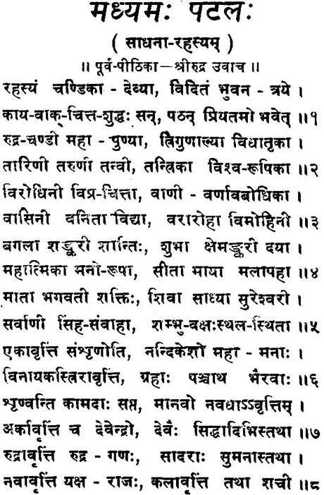 Shri Rudra Chandi [Sanskrit Hindi] - Retail Maharaj
