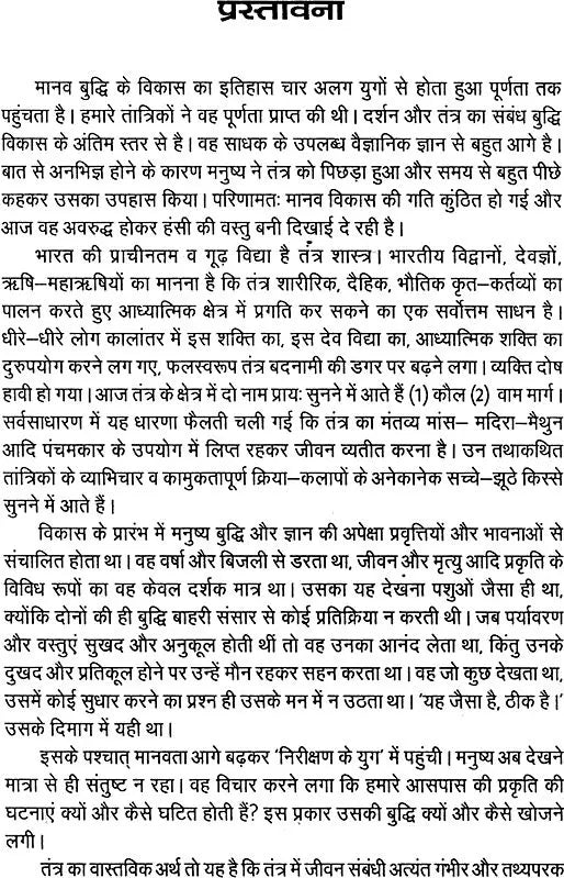 Dhoomawati Evam Bagalamookhi Tantrik Sadhanayein [Hindi] - Retail Maharaj