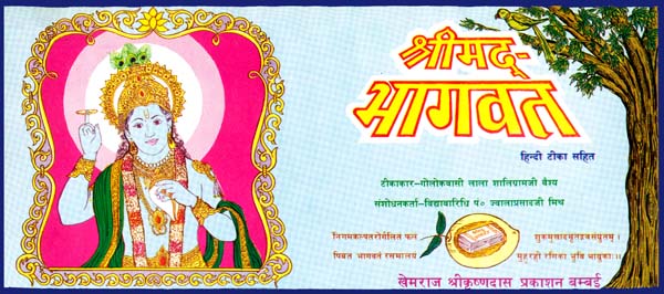 Shrimad Bhagawat (Set of 2 Volumes) - Retail Maharaj