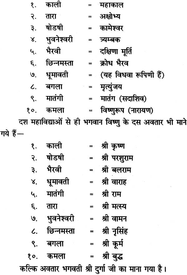 Dash Mahavidhya Tantrasaar [Hindi] - Retail Maharaj