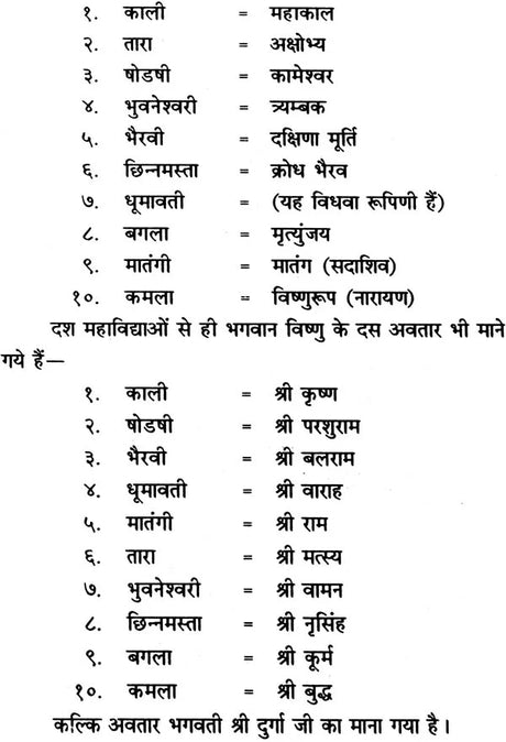 Dash Mahavidhya Tantrasaar [Hindi] - Retail Maharaj