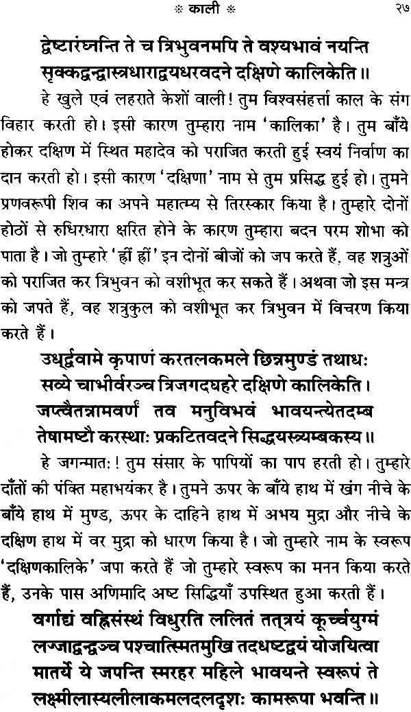 Dash Mahavidhya Tantrasaar [Hindi] - Retail Maharaj