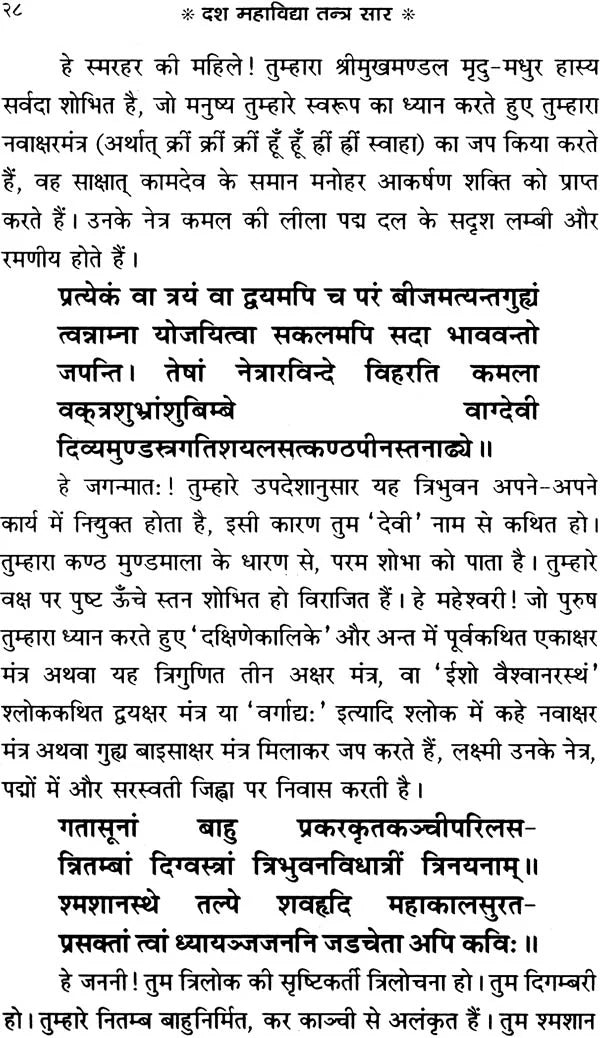 Dash Mahavidhya Tantrasaar [Hindi] - Retail Maharaj
