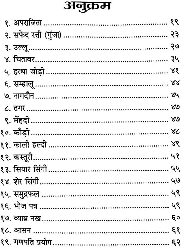 Tantra Prayog [Hindi] - Retail Maharaj