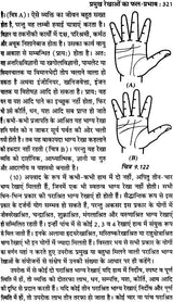 हस्तरेखाएं बोलती हैं: Complete Astro Plamistry - Retail Maharaj
