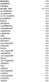 शारदातिलक (संस्कृत एवं हिन्दी अनुवाद): Sharada Tilak Tantra (Set of 2 Volumes) - Retail Maharaj
