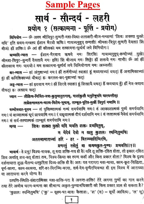 Saarth Saundarya Lahari (Yantra Prayog Sahit) [Hindi Sanskrit] - Retail Maharaj
