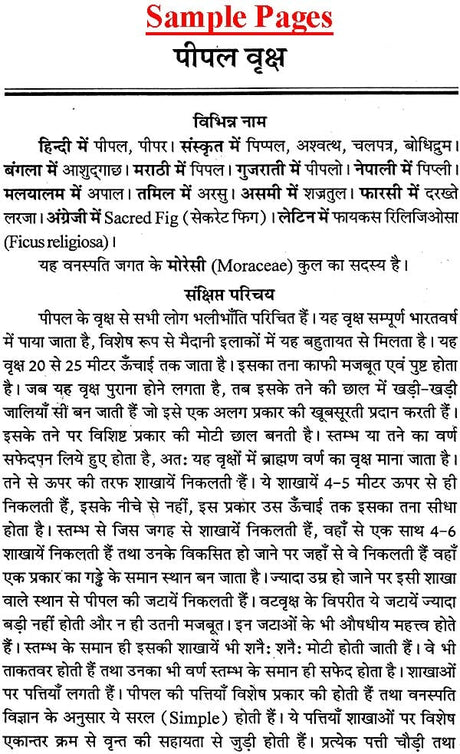 वृक्षराज पीपल: Pipal - The King of Trees - Retail Maharaj