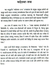 Maheshwar Tantra [Hindi] - Retail Maharaj