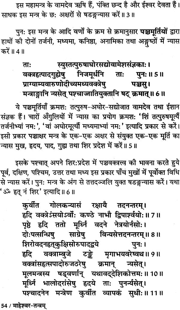 माहेश्वर तंत्र (संस्कृत एवं हिन्दी अनुवाद) - Maheshwar Tantra