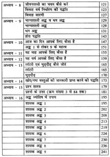 बृहत् वैदिक अंक संहिता: Brihat Vedik Anka Samhita (Set of 2 Volumes) - Retail Maharaj