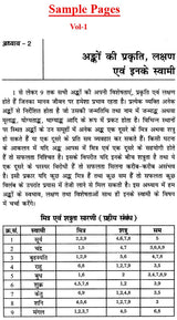 बृहत् वैदिक अंक संहिता: Brihat Vedik Anka Samhita (Set of 2 Volumes) - Retail Maharaj