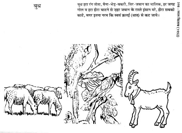लाल किताब : Lal Kitab -1952 Surya Arun Samhita (Set of 2 Volumes) - Retail Maharaj