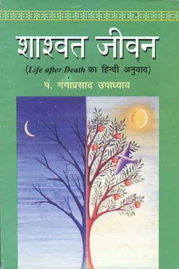 Shashwat Jeevan (Life After Death Hindi Translation) [Hindi] - Retail Maharaj