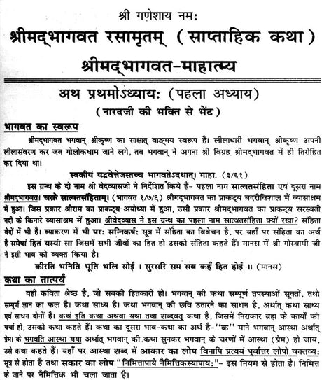 श्रीमद्भागवत रसामृतम: Shrimad Bhagawat Rasa Amrita - Retail Maharaj