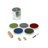 PanPastel Colours Set of 5 (Professional Artist Soft Pastels)