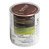 PanPastel Colours Set of 5 (Professional Artist Soft Pastels)