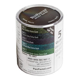 PanPastel Colours Set of 5 (Professional Artist Soft Pastels)