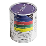 PanPastel Colours Set of 5 (Professional Artist Soft Pastels)