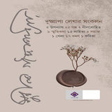 Hariye Jaowa Lekha | Sunil Gangopadhyay | Bengali Collection of Rare Stories, Novels, Memoirs, Essays & Travelogues - Retail Maharaj