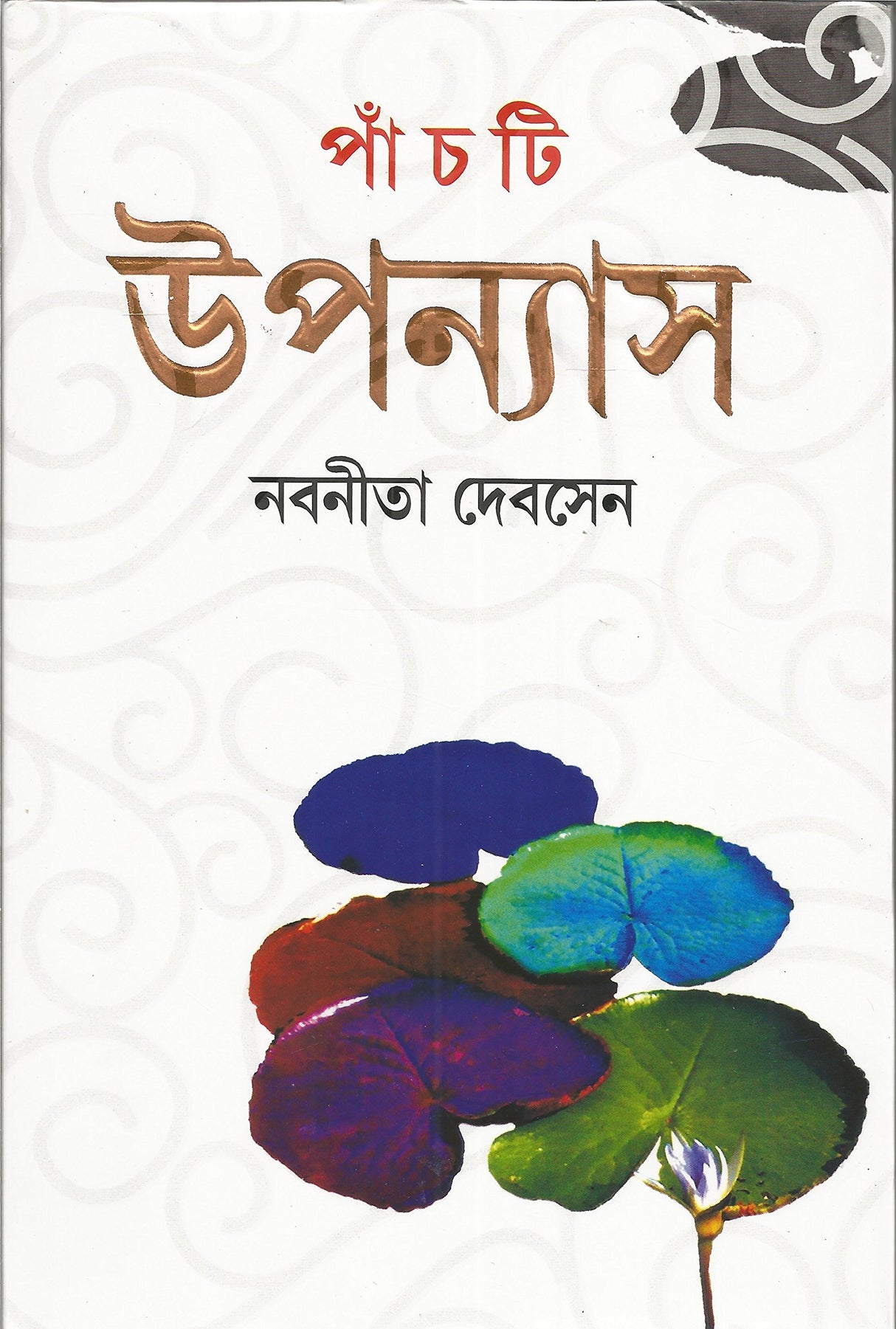 Panchti Upanyas - Retail Maharaj