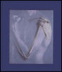 Human Anatomy - Retail Maharaj