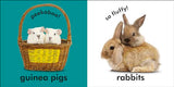Baby Touch and Feel Cuddly Animals [Hardcover] DK [Hardcover] DK - Retail Maharaj