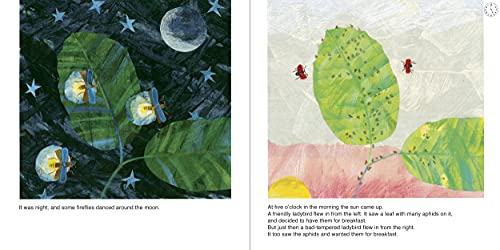 The Bad-tempered Ladybird [Paperback] Eric Carle [Paperback] Carle, Eric - Retail Maharaj