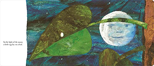 The Very Hungry Caterpillar (Big Board Book) [Hardcover] Carle, Eric - Retail Maharaj