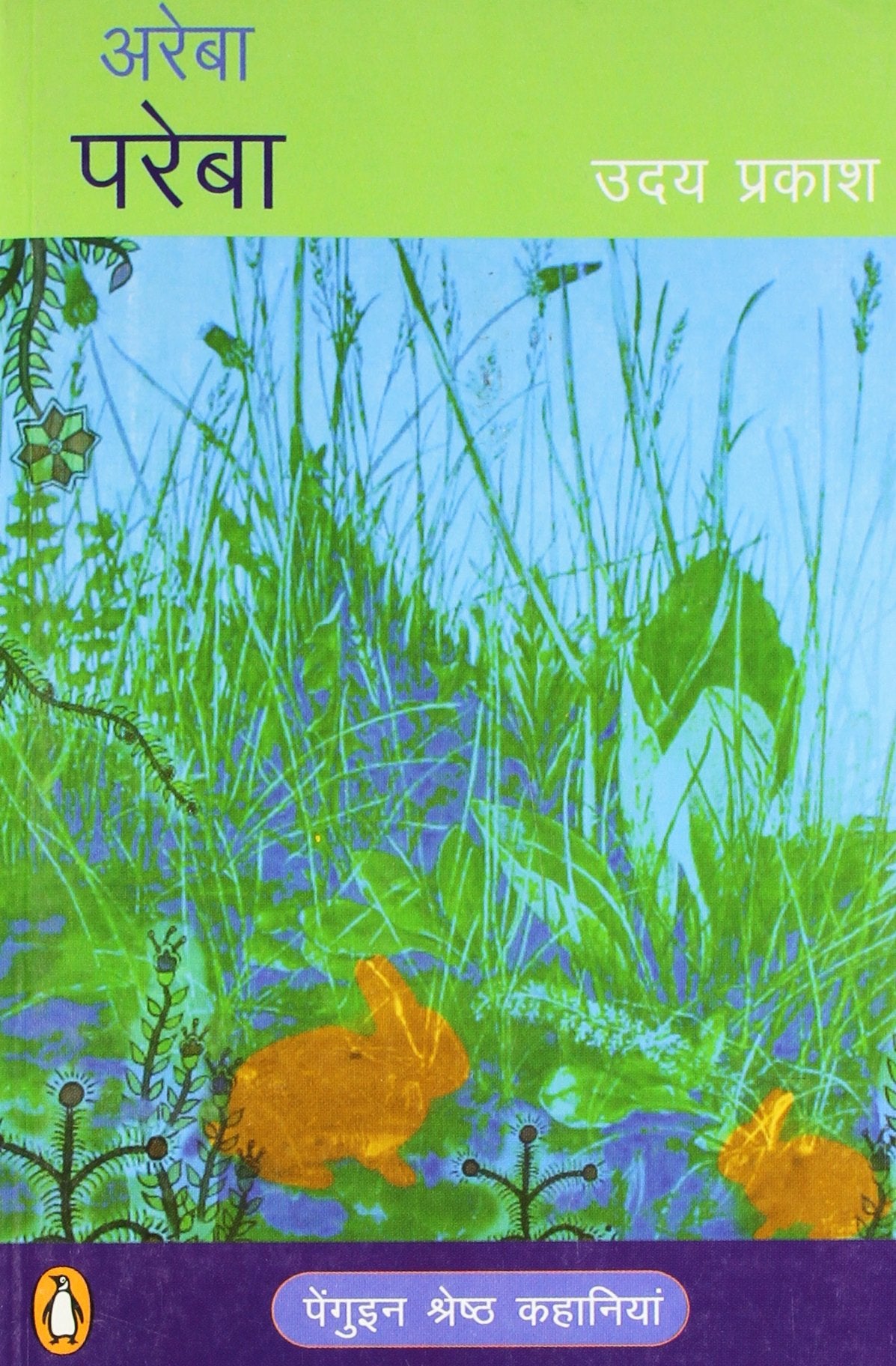 Areba Pareba (Hindi) - Retail Maharaj