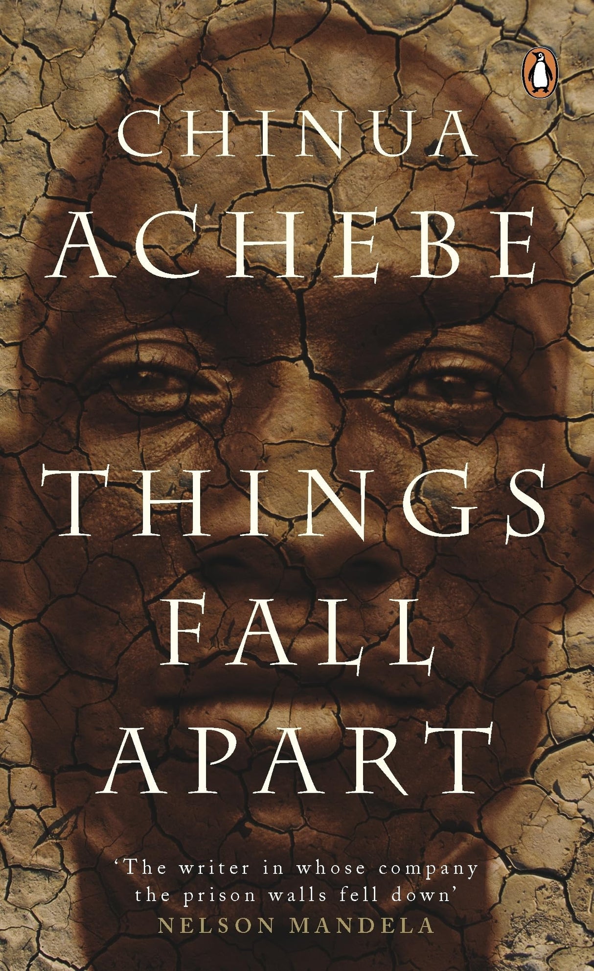 Things Fall Apart - Retail Maharaj