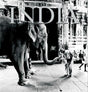 The Soul of India (HB) - Retail Maharaj