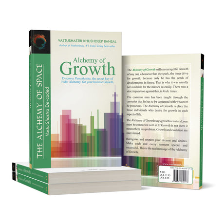 Alchemy of Growth - Retail Maharaj