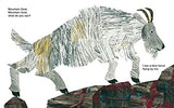 Baby Bear, Baby Bear, What do you See? [Paperback] Martin Jr, Mr Bill and Carle, Eric - Retail Maharaj