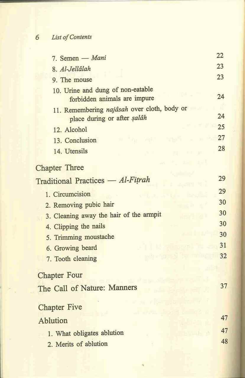 The Purity of the Muslim - Retail Maharaj