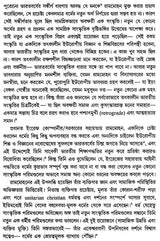 Material and Self Luminous: Philosophical Essays (Bengali) - Retail Maharaj