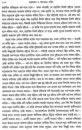 Material and Self Luminous: Philosophical Essays (Bengali) - Retail Maharaj