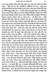 Material and Self Luminous: Philosophical Essays (Bengali) - Retail Maharaj