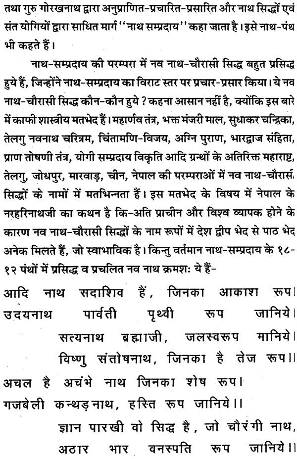 Navnath Charitra Evam Siddhant Saar [Hindi] - Retail Maharaj