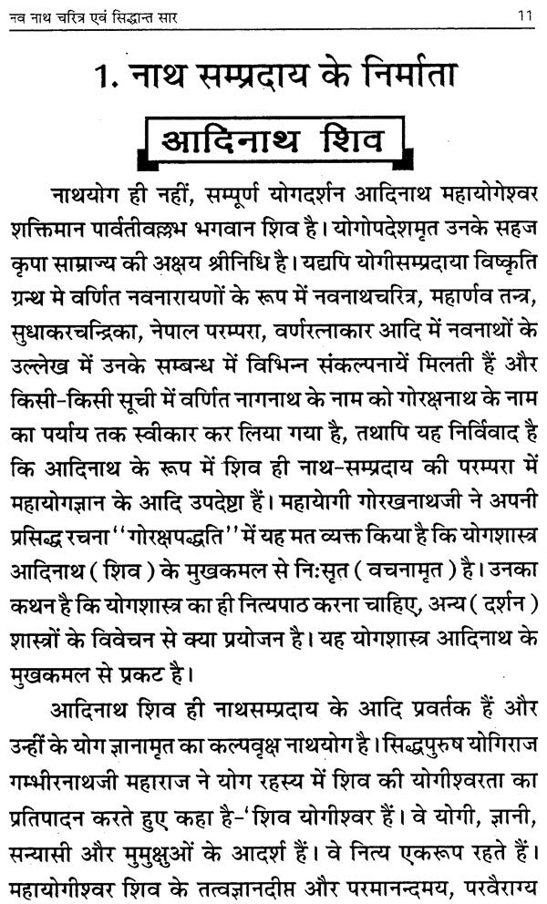 Navnath Charitra Evam Siddhant Saar [Hindi] - Retail Maharaj
