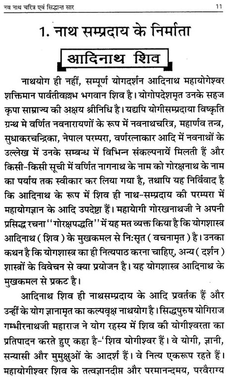 Navnath Charitra Evam Siddhant Saar [Hindi] - Retail Maharaj