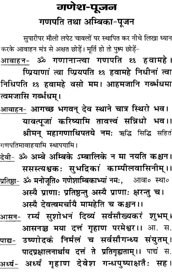 Saral Rudrashtadhyayi (Bhasha-Teeka) [Hindi] - Retail Maharaj