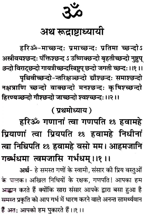Saral Rudrashtadhyayi (Bhasha-Teeka) [Hindi] - Retail Maharaj