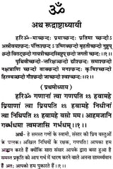 Saral Rudrashtadhyayi (Bhasha-Teeka) [Hindi] - Retail Maharaj
