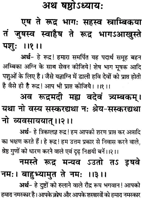 Saral Rudrashtadhyayi (Bhasha-Teeka) [Hindi] - Retail Maharaj
