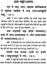 Saral Rudrashtadhyayi (Bhasha-Teeka) [Hindi] - Retail Maharaj